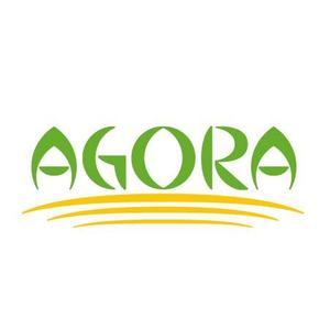 taka design (taka_design)さんの「AGORA」のロゴ作成への提案
