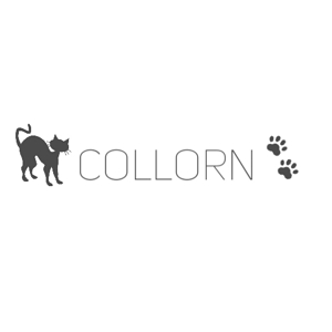AKIYAMA RR (akiyam-0101)さんの個人で運営するウェブメディア「collorn」のロゴ　への提案