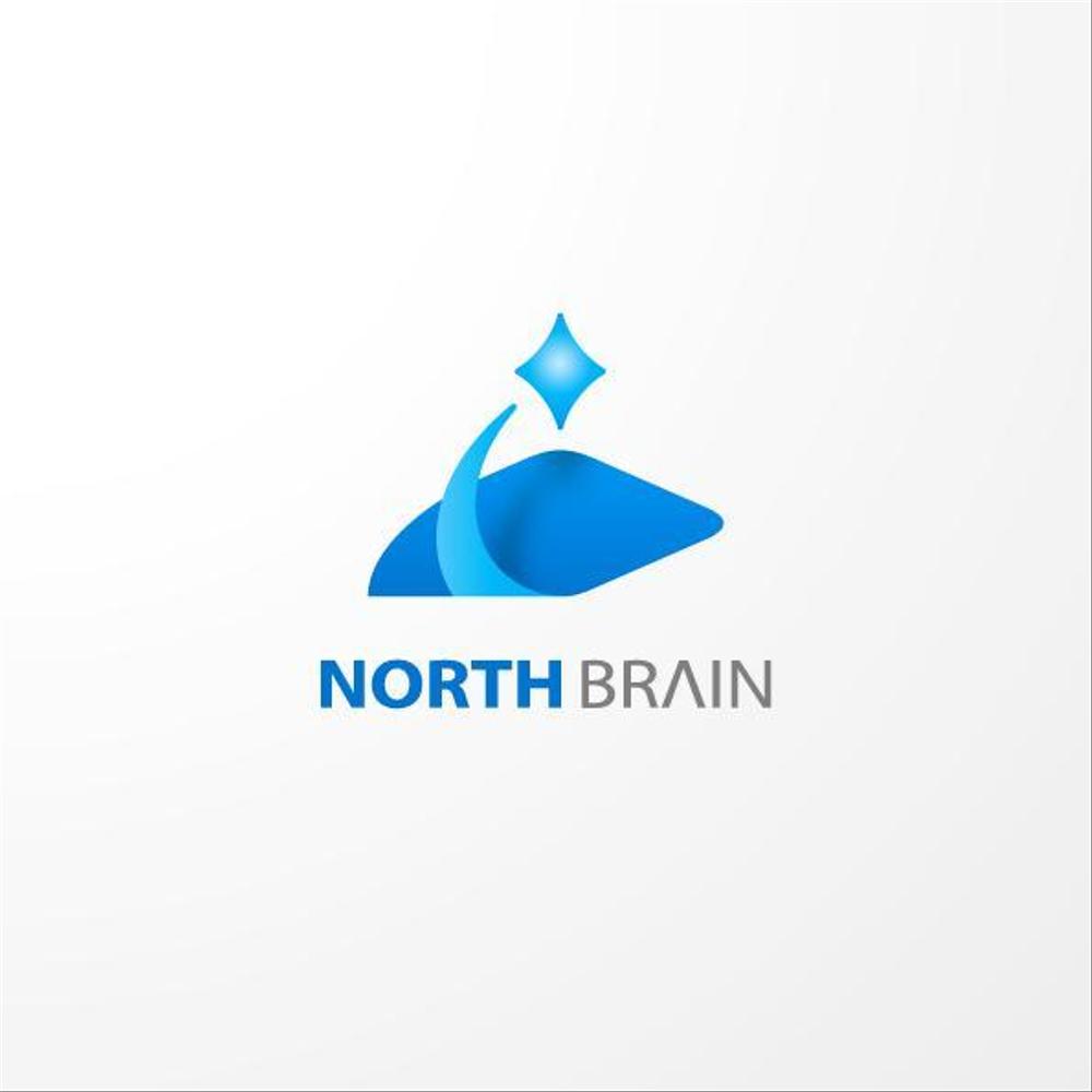 NORTH_BRAIN-2a.jpg