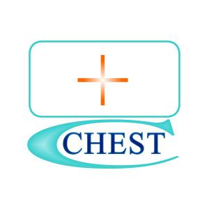 BNR32さんの「ＣＨＥＳＴ（チェスト）」のロゴ作成への提案