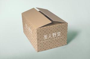 NOMA DESIGN (nomadesign)さんの宅配野菜サービスのダンボールデザインへの提案