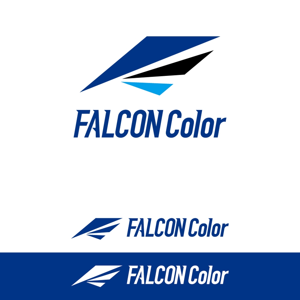 FALCON Color-02.jpg