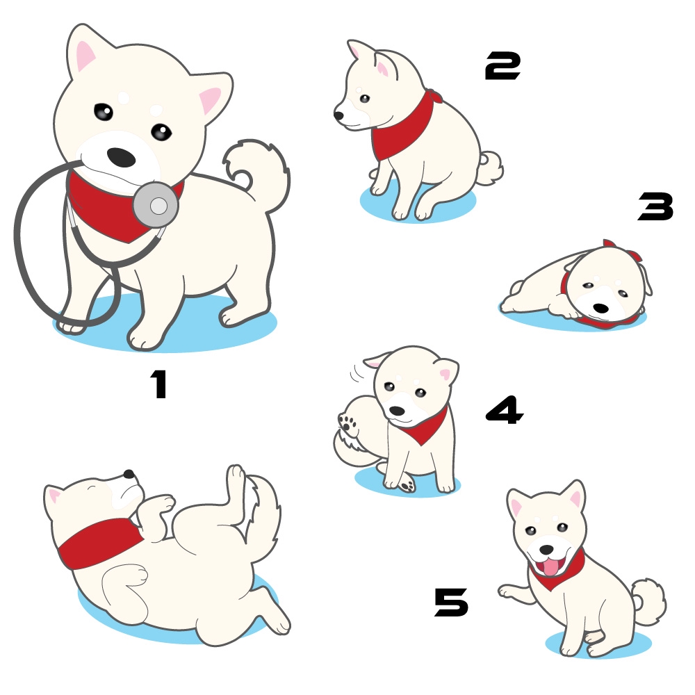 犬のキャラクターデザイン.jpg