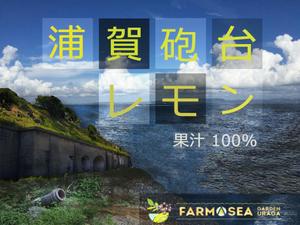 homlaさんの100％果汁でできたレモンジュース（果汁）のラベルデザインへの提案