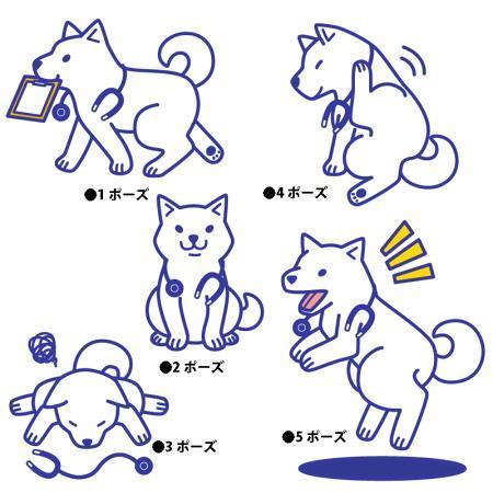 林太朗 (rintarou)さんの医療系iPhoneアプリ用　犬のキャラクターデザインへの提案