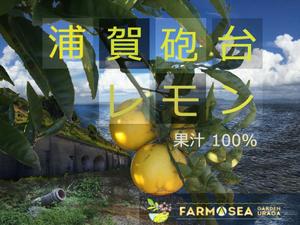 homlaさんの100％果汁でできたレモンジュース（果汁）のラベルデザインへの提案