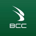 cube_imaki (cube_ima)さんの「BCC」のロゴ作成への提案