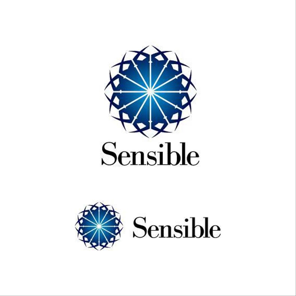 Sensible logo - blue.jpg