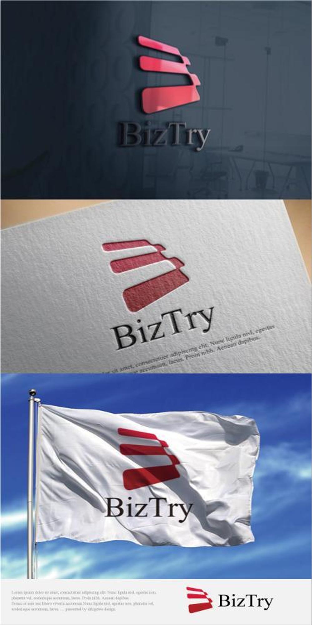 biztry3.jpg