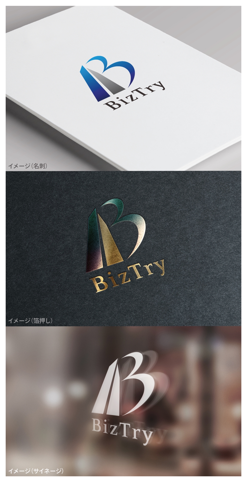 BizTry_logo02_01.jpg