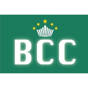 teppei (teppei-miyamoto)さんの「BCC」のロゴ作成への提案