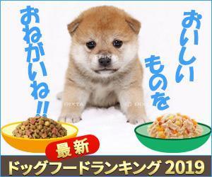 stepmew (stepmew)さんの【急募】広告用バナー作成のお仕事への提案