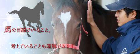 stepmew (stepmew)さんの馬の世界を目指す若者を育成する学校　メインバナー８点デザインへの提案