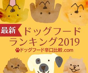 MirainoR (MirainoR)さんの【急募】広告用バナー作成のお仕事への提案