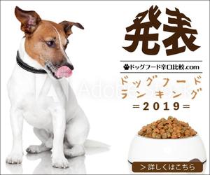 バックヤードエージェントみんながチカラ (MiYA)さんの【急募】広告用バナー作成のお仕事への提案