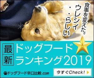 team John and Kz (hinatafuka)さんの【急募】広告用バナー作成のお仕事への提案