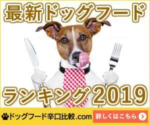september_eight (september_eight)さんの【急募】広告用バナー作成のお仕事への提案