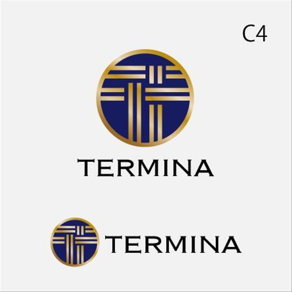 新規事業/プロダクト開発を支援する「テルミナ」の会社ロゴ