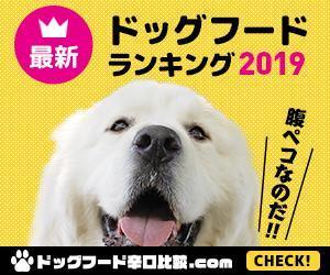 coopee (-coopee)さんの【急募】広告用バナー作成のお仕事への提案