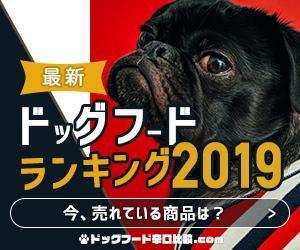 Blue Pig (bluepig_woks)さんの【急募】広告用バナー作成のお仕事への提案