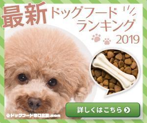 zakisuke (zakisuke)さんの【急募】広告用バナー作成のお仕事への提案