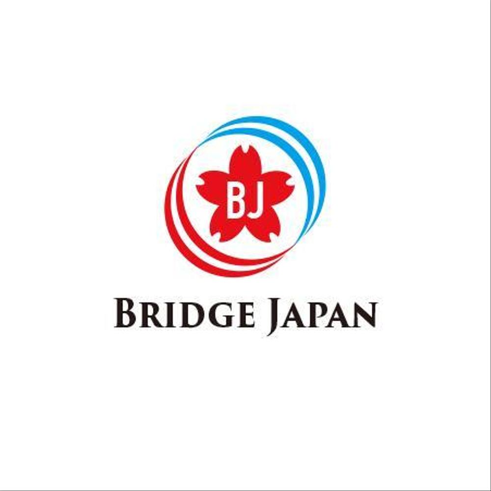 Bridge Japan3.jpg