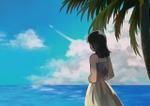 株式会社Univearth (univearth)さんのジブリ風のイラスト制作(砂浜、青い空、雲、旋回する飛行機)への提案