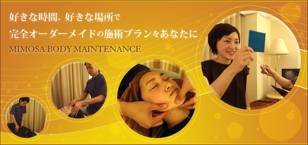 mimosa_body_maintenance01.jpg