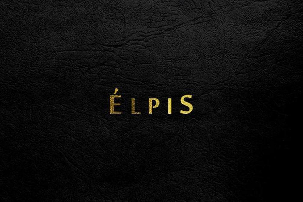 美容、健康などの総合会社「 ELPIS」のロゴ作成依頼