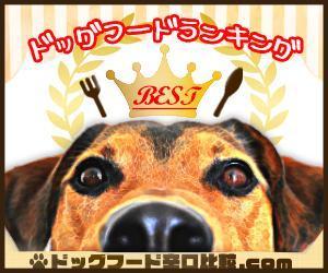 sumica202 (sumica202)さんの【急募】広告用バナー作成のお仕事への提案