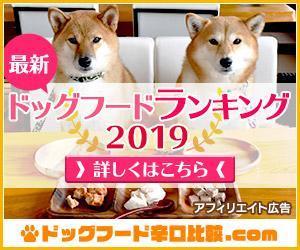 Kijitolush (Kijitolush)さんの【急募】広告用バナー作成のお仕事への提案