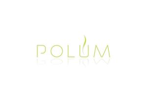 boobee ()さんの「POLUM」のロゴ作成(商標登録なし）への提案