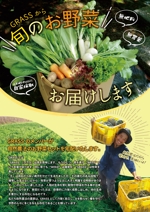 noa (noa5366)さんの自然農法の野菜セットのチラシへの提案
