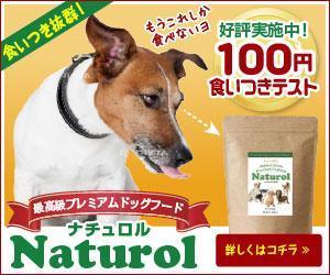 Cam_104 (Cam_104)さんの【急募！】ペットフードLP用 バナー作成のお仕事への提案