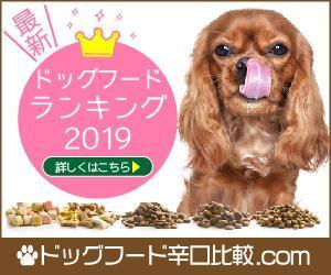 宮里ミケ (miyamiyasato)さんの【急募】広告用バナー作成のお仕事への提案