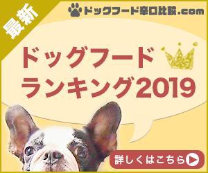 MirainoR (MirainoR)さんの【急募】広告用バナー作成のお仕事への提案