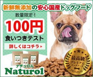 PIXELgarage ()さんの【急募！】ペットフードLP用 バナー作成のお仕事への提案