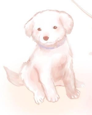 さんのシンプルで温かみのある子犬のイラストへの提案