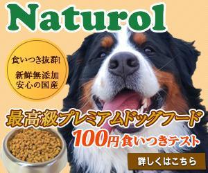 lemon88 (bokup7)さんの【急募！】ペットフードLP用 バナー作成のお仕事への提案