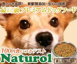 lemon88 (bokup7)さんの【急募！】ペットフードLP用 バナー作成のお仕事への提案