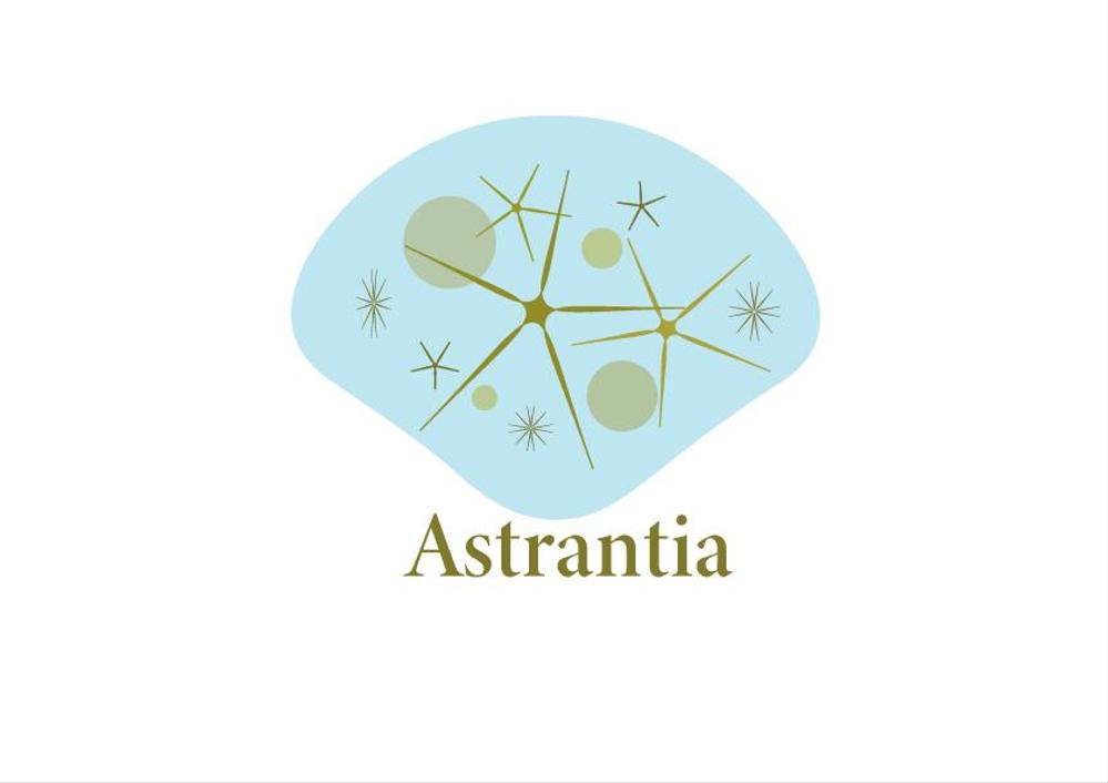 Astrantia.png