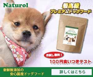 lumberjackさんの【急募！】ペットフードLP用 バナー作成のお仕事への提案