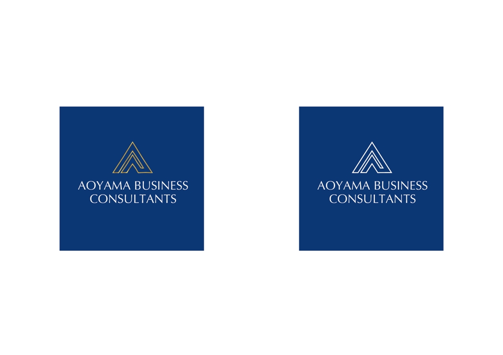 Aoyama Business Consultants_a.jpg