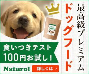 Gururi_no_kotoさんの【急募！】ペットフードLP用 バナー作成のお仕事への提案