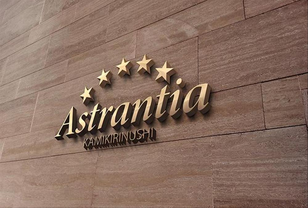 3D Wall Astrantia 2.jpg