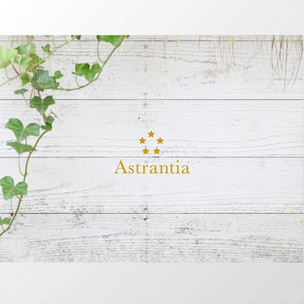 新規　美容室　「Astrantia」　のロゴ　