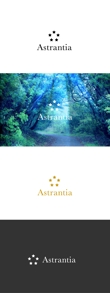 Astrantia-02.jpg