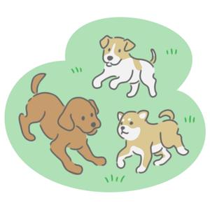 Meeca (mikanyanko)さんのシンプルで温かみのある子犬のイラストへの提案