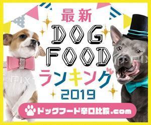 uukoko (uukoko)さんの【急募】広告用バナー作成のお仕事への提案