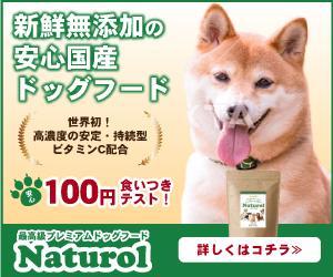 かみじょう (K_Kamijo)さんの【急募！】ペットフードLP用 バナー作成のお仕事への提案